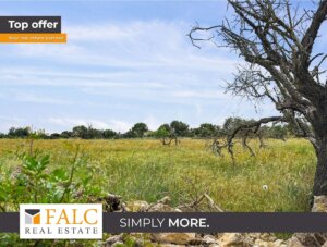 Wohntraum auf 20.000 m²: Neubau-Finca mit Pool